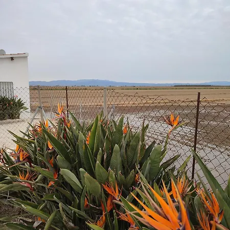 Caseta Del Chato * Deltebre