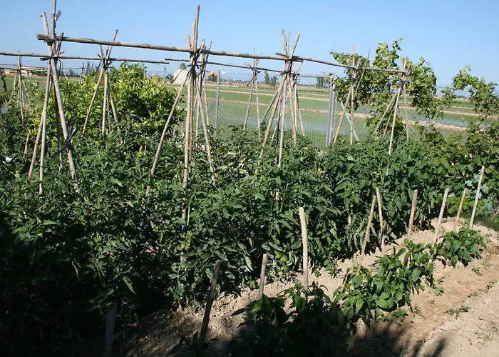 Caseta Del Chato 代尔特布雷